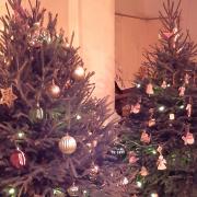 Reepham Lions will be presenting the town's second Christmas Tree Festival