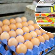 Police to crack down on egg throwing