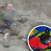 Olive the Dog (inset) and her owner and school teacher,  Lorrayne Starr, at Blenheim Park Primary School in Fakenham were at the centre of a dramatic rescue from the beach at Trimingham in January 2016  after becoming entombed in mud.