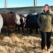 Norfolk cattle farmer Annabelle Howell, 22, has been appointed as the first young ambassador for the National Beef Association