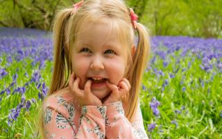 A child enjoying the bluebells at Pensthorpe Picture: Pensthorpe