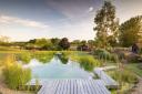 A swimming pond. Pic: Richard Bloom/The Swimming Pond Company
