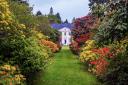 The valuations will be on the lawn at Stody Lodge Gardens Picture: Bryn Ditheridge