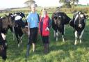 William and Alex Wales, with some of their herd at Binham.