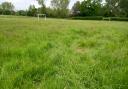 Fakenham Town Council posted a picture of overgrown grass in the town - telling residents why it is in this state