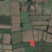 An aerial view showing the proposed dairy unit - on the red-shaded area - and Wellingham to the north.