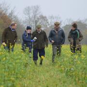 Members of the Wensum Farmers Group in a cover-cropped field in Horningtoft. From left: Kit Papworth, Lizzie Emmett, Colin Palmer, Adrian Howes, Mary van Beuningen and Coen van Beuningen
