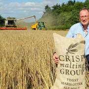 Bob King, commercial director of Great Ryburgh-based Crisp Malt, pictured during the barley harvest