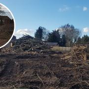 Claude Doy has expressed his anger as a developer began removing a large number of trees from Dereham Maltings