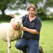 Norfolk shepherdess Michelle Lakey raised £1,752 for charity by auctioning one of her lambs at Norwich Livestock Market