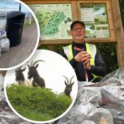 Paul Bailey has blasted the rubbish left on Cromer cliffside onto the land where Bagot Goats after litter picking the land