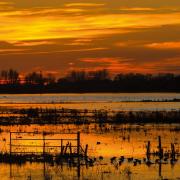 Sunset over the Wildfowl and Wetlands Trust at Welney in Norfolk