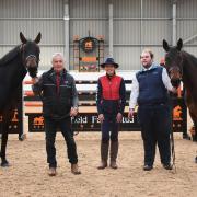 Wakefield Farm Stud and Livery owner Neil Holden (left) with stud manager Tom Saunders and head groom Jo Durrell with two of their horses in the indoor arena