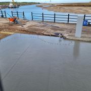 The gull was spotted walking through wet cement at the quayside car park in Wells