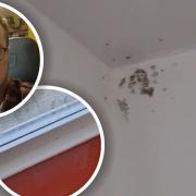 Lee Tuddenham (insert) has blasted Victory Housing over the mould and extreme condensation in his parents' Fakenham home