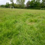 Fakenham Town Council posted a picture of overgrown grass in the town - telling residents why it is in this state