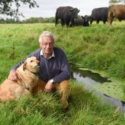 Farmer Robert Perowne and his dog, Lupin, by the River Stiffkey on his land where sewage ran from a burst pipe