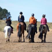 Work will shortly commence  to create a new access route to Holkham Beach for those arriving with their horse