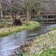 A photo taken earlier this month of the River Burn at Burnham Thorpe Picture: Chris Bishop